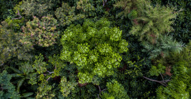 Nespresso - sustentabilidade