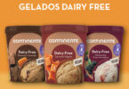 Continente - gelados vegan