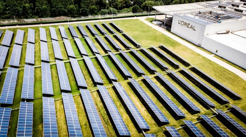 L'Oréal vai acelerar esforços de conservação da biodiversidade