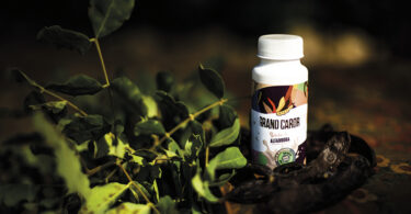Grand Carob