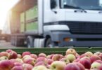 As exportações de produtos alimentares e bebidas cresceram 13,5% no acumulado de janeiro a setembro deste ano, face ao mesmo período de 2019.