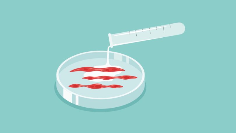 Portugueses dispostos a comprar carne cultivada em laboratório