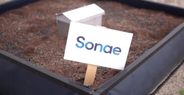Sonae Campus conta agora com uma horta comunitária