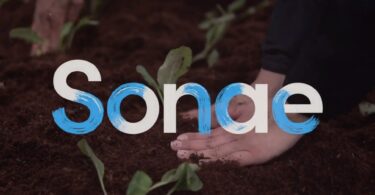 Sonae Campus conta agora com uma horta comunitária