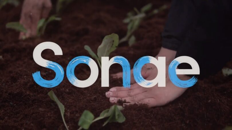 Sonae Campus conta agora com uma horta comunitária