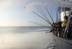 Pesca sustentável