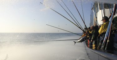 Pesca sustentável