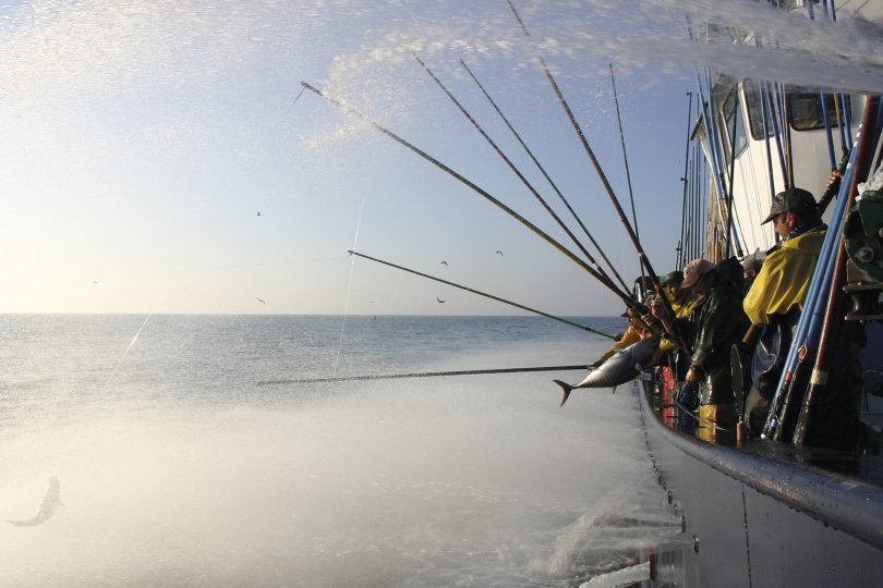 Pesca sustentável
