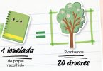 Continente promove plantação de árvores através de reciclagem de cadernos escolares
