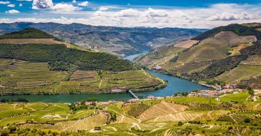 Comerciantes de vinhos pedem medidas "concretas e urgentes” ao Governo