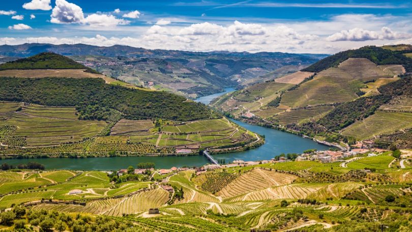 Comerciantes de vinhos pedem medidas "concretas e urgentes” ao Governo