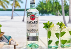 Bacardi Portugal reduz utilização de plástico em 13 toneladas anualmente