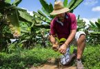 Mondelēz Internacional duplica investimento no programa Cocoa Life