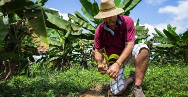Mondelēz Internacional duplica investimento no programa Cocoa Life