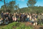 Campanhas que marcam: Do obrigado à literacia ambiental
