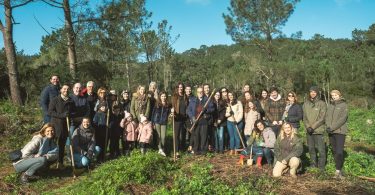 Campanhas que marcam: Do obrigado à literacia ambiental