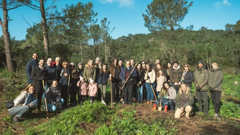 Campanhas que marcam: Do obrigado à literacia ambiental
