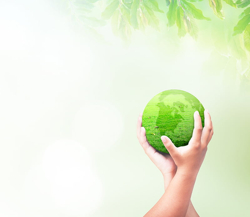 BA Glass, BPI e CaixaBank, lançam operação de financiamento sustentável