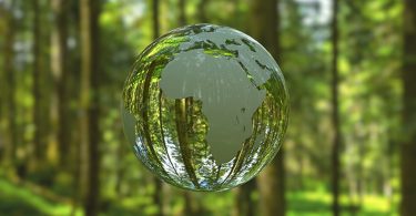 sustentabilidade para gestores de risco