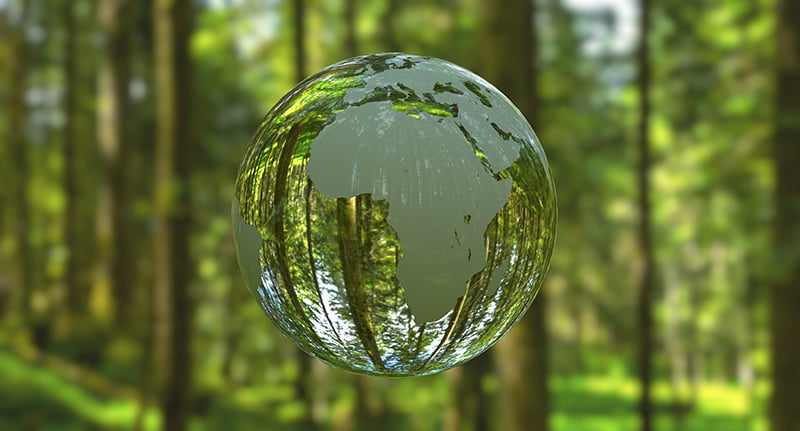 sustentabilidade para gestores de risco