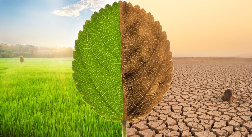 Green finance