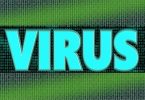 Virus