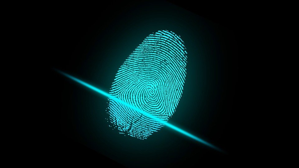 Como serão os pagamentos do futuro?