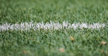 field field line football