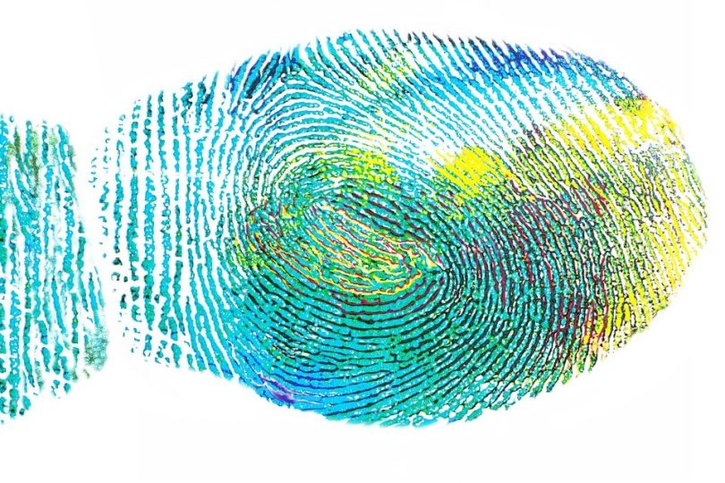 fingerprint