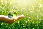 Sustentabilidade: que impacto tem a sua organização?