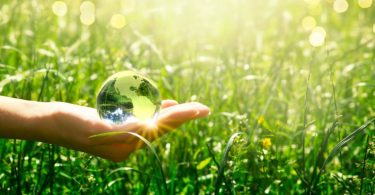 Sustentabilidade: que impacto tem a sua organização?