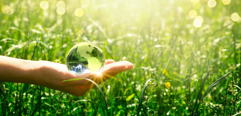 Sustentabilidade: que impacto tem a sua organização?