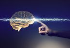 Como as Neurociências podem ajudar no desenvolvimento de competências