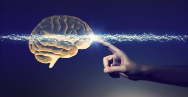 Como as Neurociências podem ajudar no desenvolvimento de competências