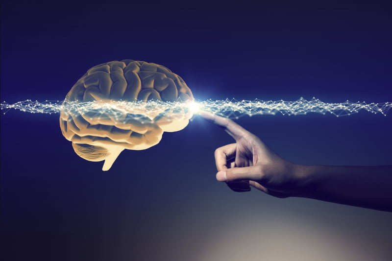 Como as Neurociências podem ajudar no desenvolvimento de competências