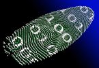 virtual identity