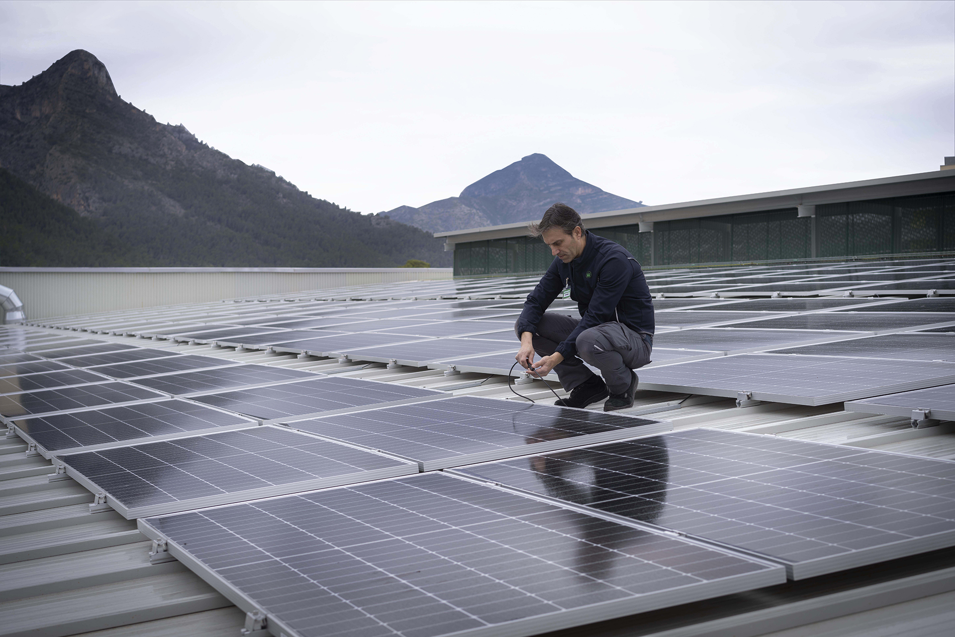Mercadona vai investir 60 milhões de euros em fotovoltaica