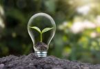 Bens de consumo: Investimentos sustentáveis irão acelerar o crescimento empresarial