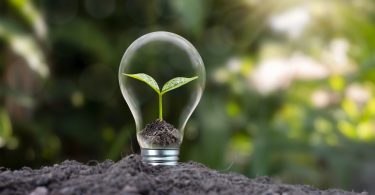 Bens de consumo: Investimentos sustentáveis irão acelerar o crescimento empresarial