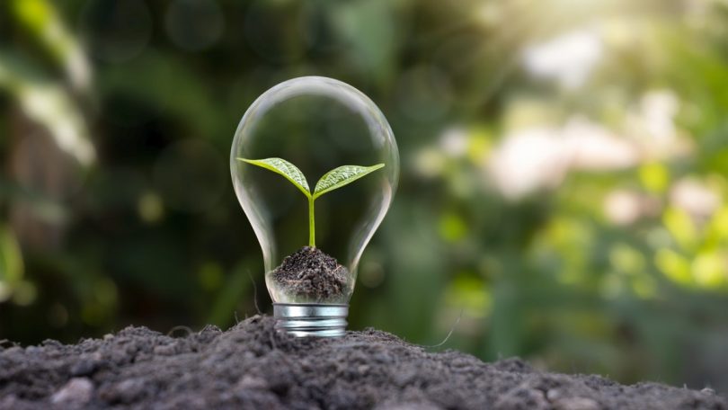 Bens de consumo: Investimentos sustentáveis irão acelerar o crescimento empresarial