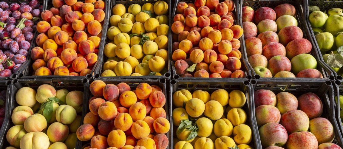 Exportações de frutas e legumes crescem em valor, mas descem em volume