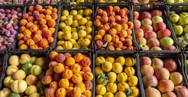 Exportações de frutas e legumes crescem em valor, mas descem em volume
