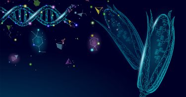 AgTech e FoodTech: Como a tecnologia e inovação estão a moldar o futuro do que vamos comer