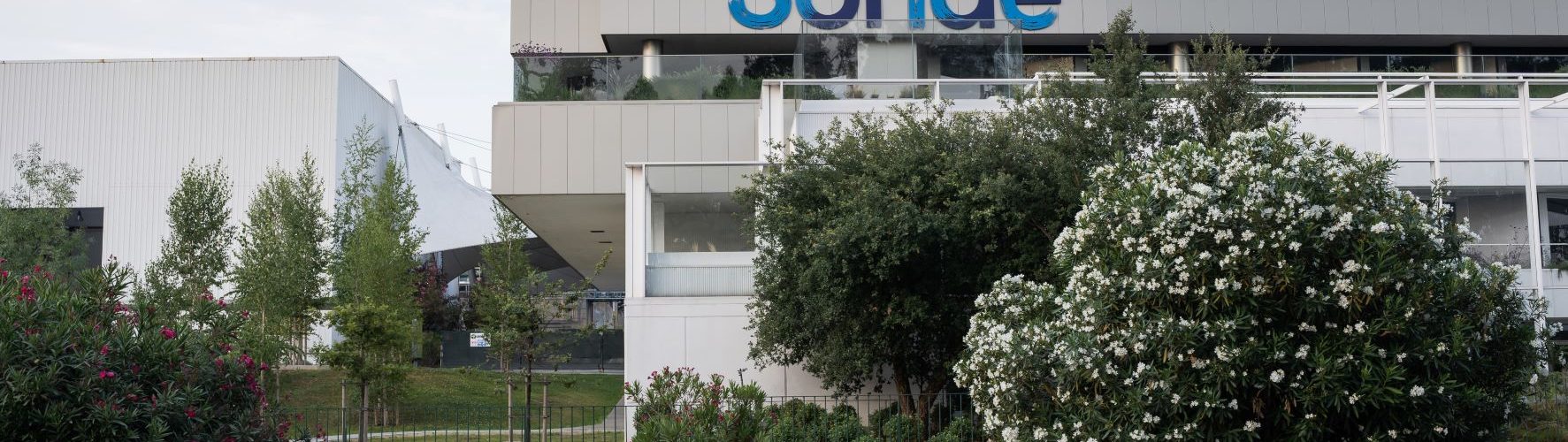 Sonae quer reforçar aposta nos produtos para animais com aquisição da Musti 