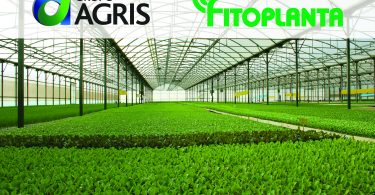 Grupo Agris entra no setor da produção com aquisição da Fitoplanta 