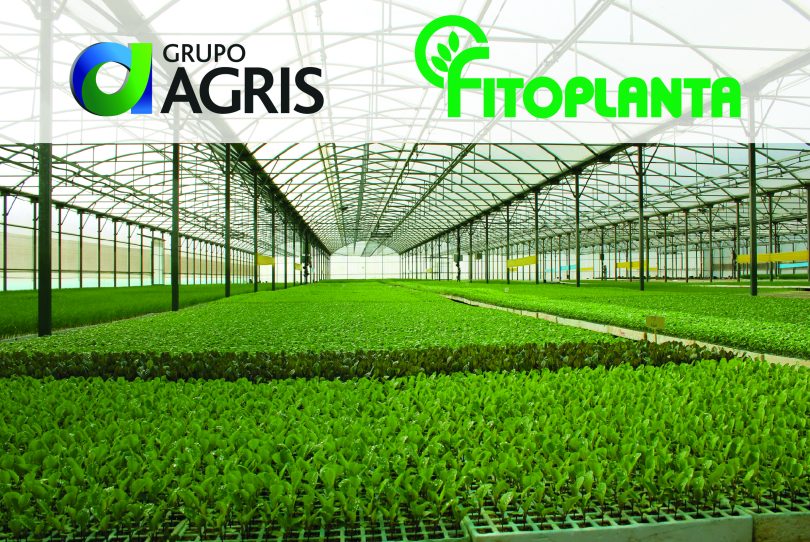 Grupo Agris entra no setor da produção com aquisição da Fitoplanta 